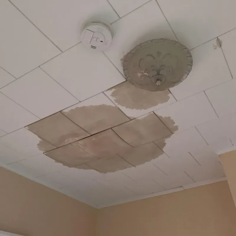Ceiling Water Damage Repair in Aberdeen Proving Ground, MD