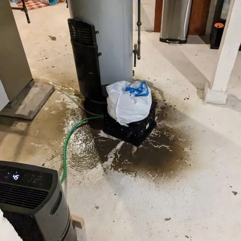 Sewage Backup Cleanup Service in Aberdeen Proving Ground, MD